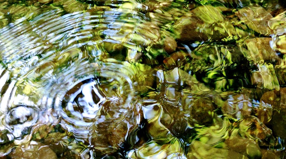 Close-up of water surface with ripples and reflections of green foliage and sky, revealing pebbles and rocks underneath.